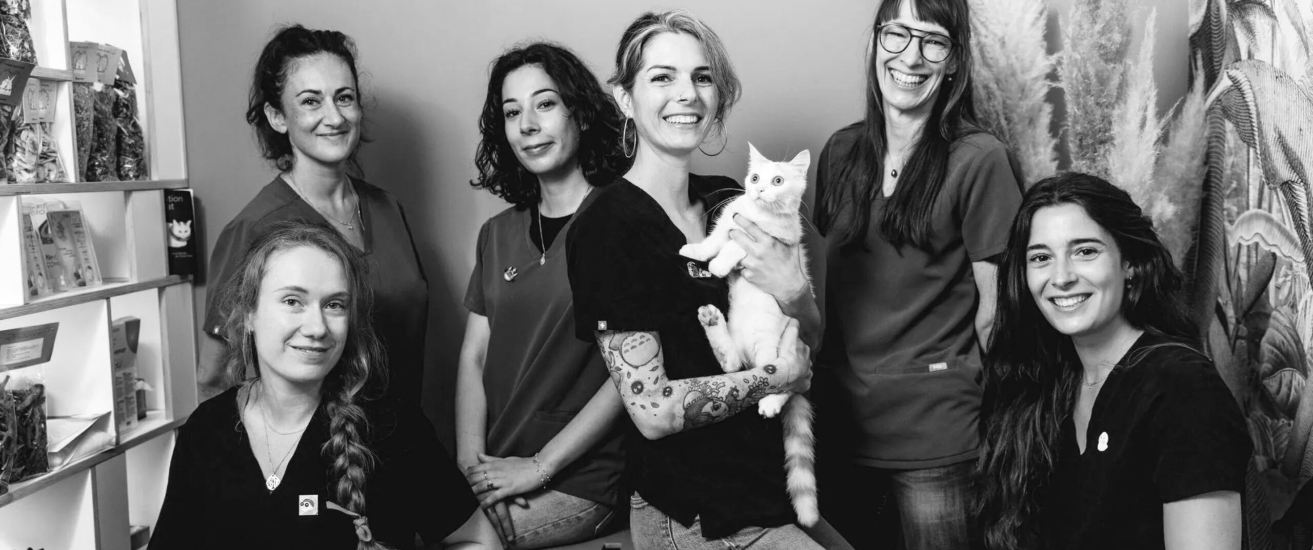 equipe A pas de velours